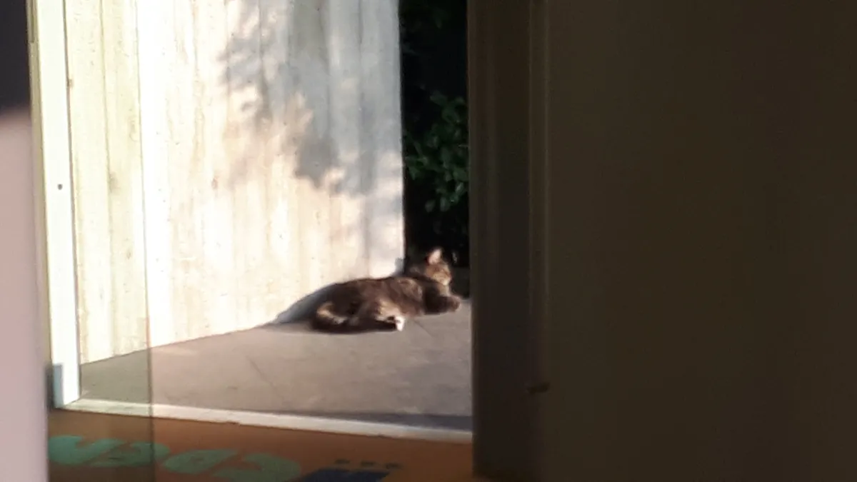 Foto dei nostri ospiti