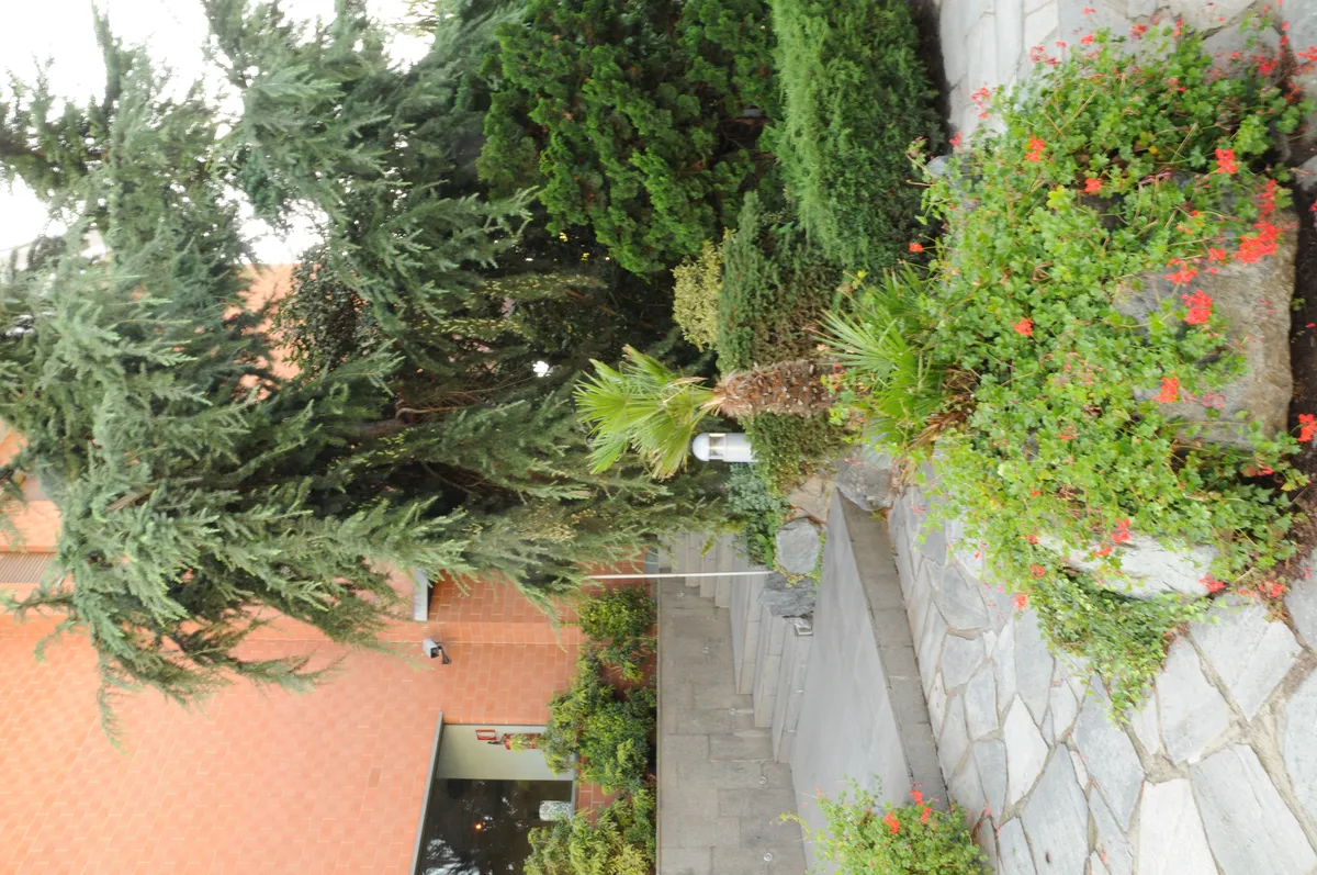 Salone comune dell’hotel con divani e televisione